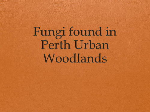 Fungi in the Perth Urban Woodlands