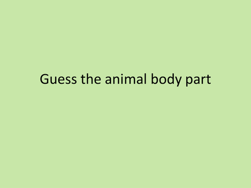 Guess the animal body part