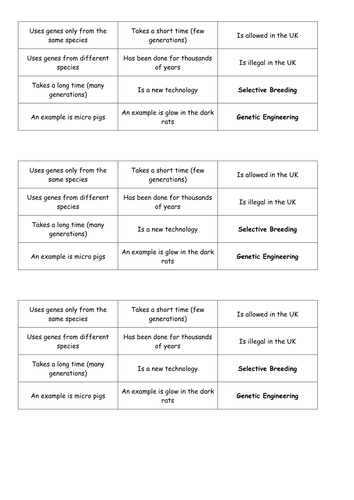 Selective Breeding vs GM card sort
