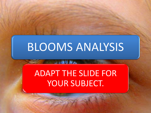 BLOOMS TEMPLATE FOR ANYTHING