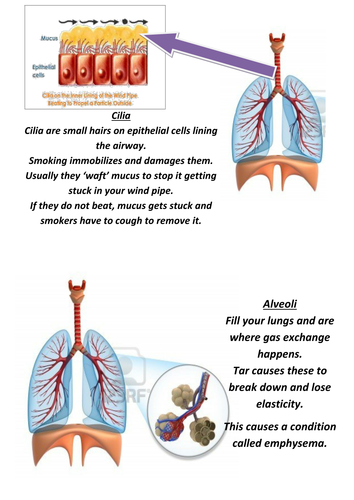 Smoking Lesson with resources