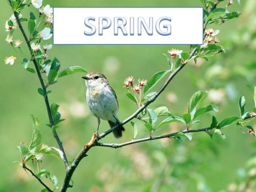 Spring,music,movement, rhyme and song