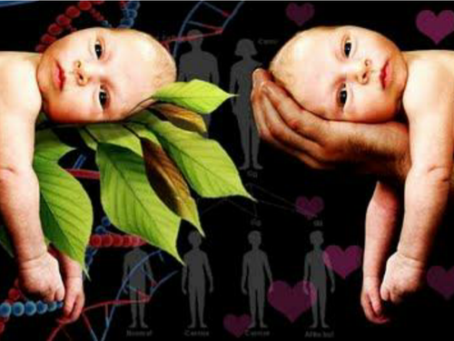 Blood Brothers Nature Nurture / Social Class