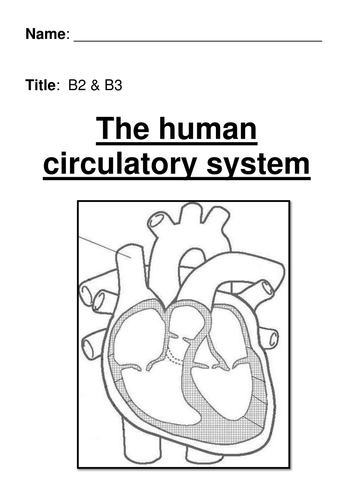 The Circulatory System | Teaching Resources