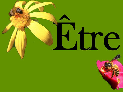 Build up to a peer-to-peer interview