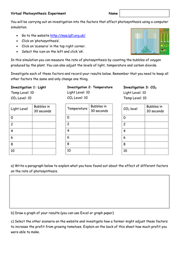 Virtual photosynthesis experiment