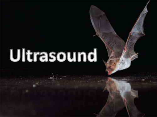 Ultrasound lesson