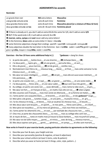 Adjective Agreements In French Les Accords - 
