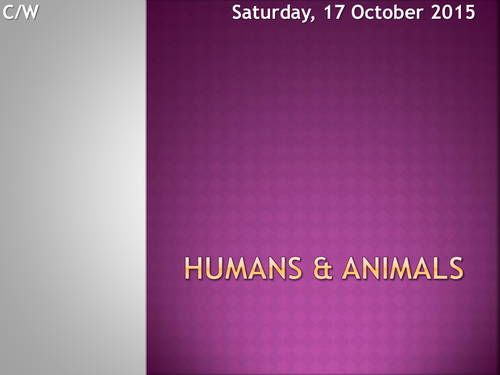 Humans & Animals