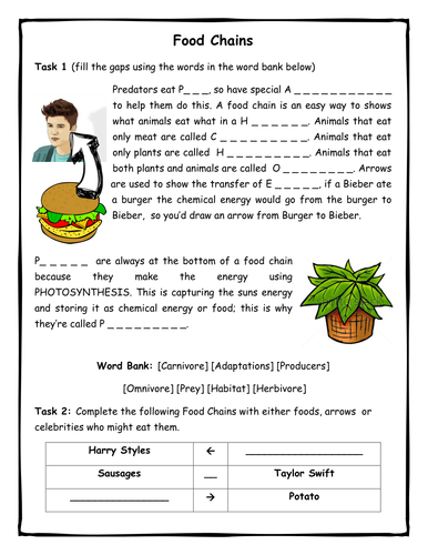 Food Chains Introduction