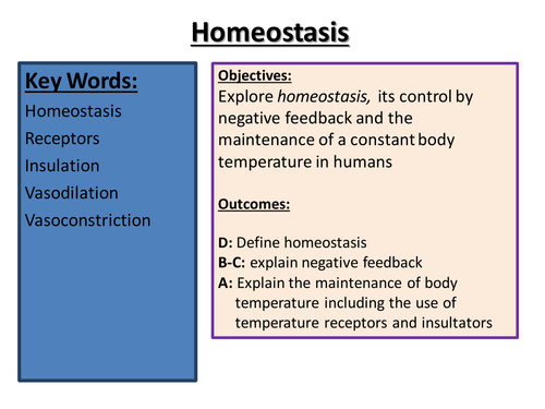 Homeostasis