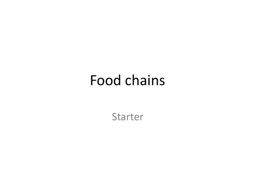 Food chain puzzle starter
