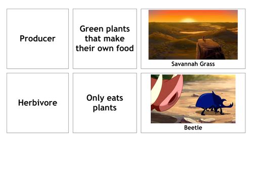 Lion King Food Chains Card Sort