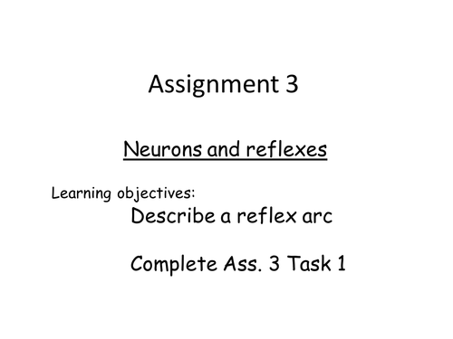 BTEC Unit 10 Ass. 3 Neurons lesson and resources