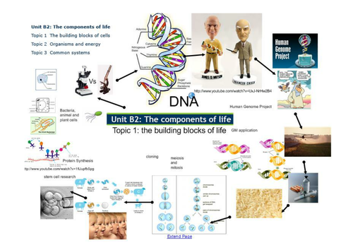 Edexcel B2.1 building blocks of life overview A3