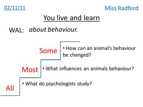 Animal behavior - Year 8
