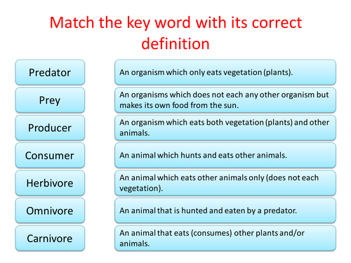 Food webs and feeding relationships - Year 8