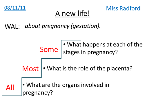Pregnancy - Year 7