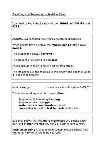 Breathing revision sheet