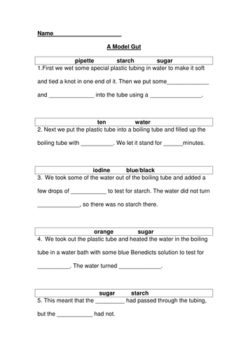 model gut sheet | Teaching Resources