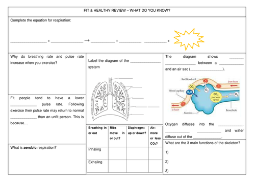 9B Fit & Healthy review