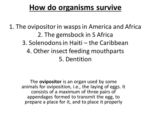 Adaptations for survival powerpoint