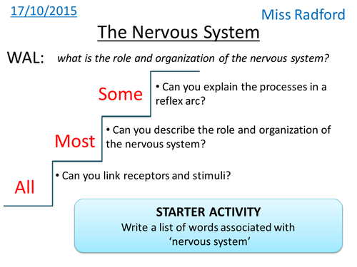 B1.1 Nervous system & Reflexes