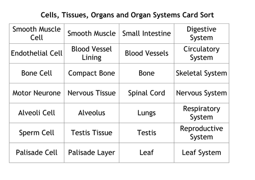 Cells, Tissues, Organs and Organ Systems Card Sort