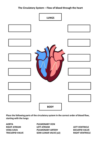 Heart Task | Teaching Resources