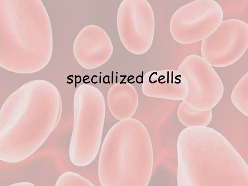 Specialized Cells