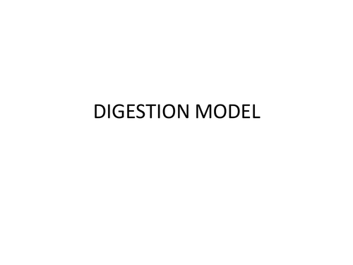 Digestive system model carousel and AF1 Asst.