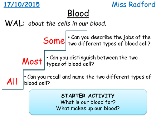 B1.1 Red and White Blood Cells for SEN