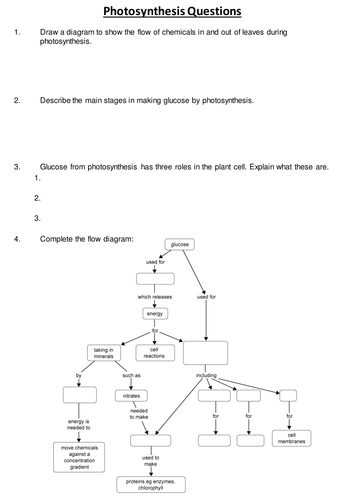 Photosynthesis Graph Worksheets