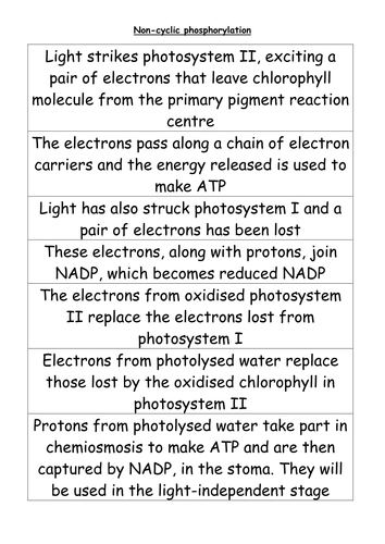 Non-cyclic Phosphorylation | Teaching Resources