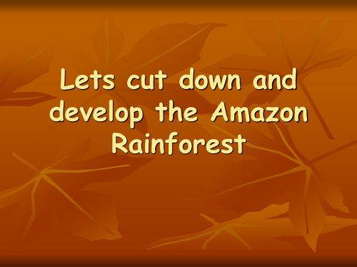 Rainforest destruction