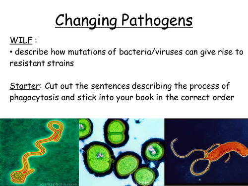 NEW AQA B1.1.8 Changing Pathogens